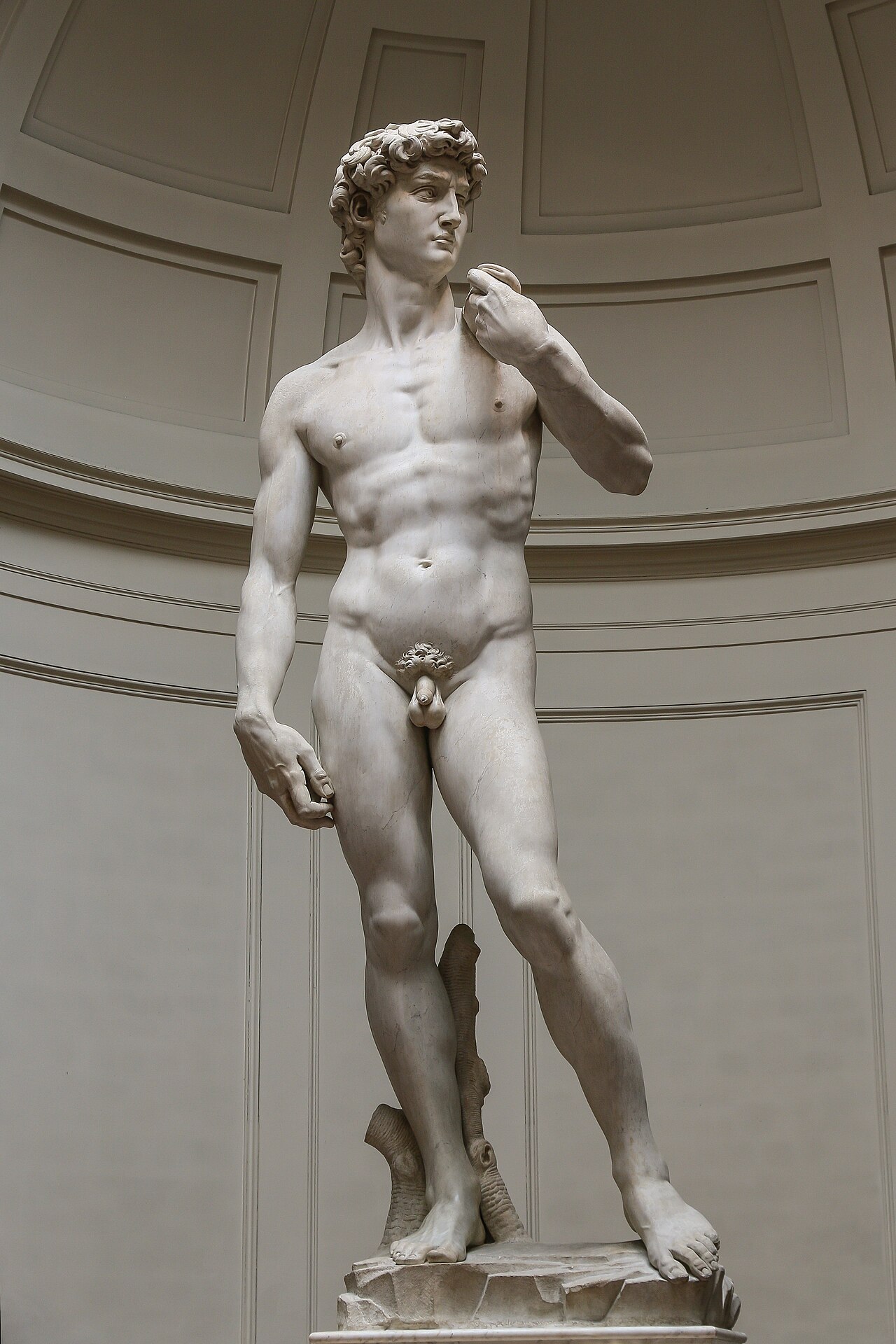 Galleria dell'Accademia, il David